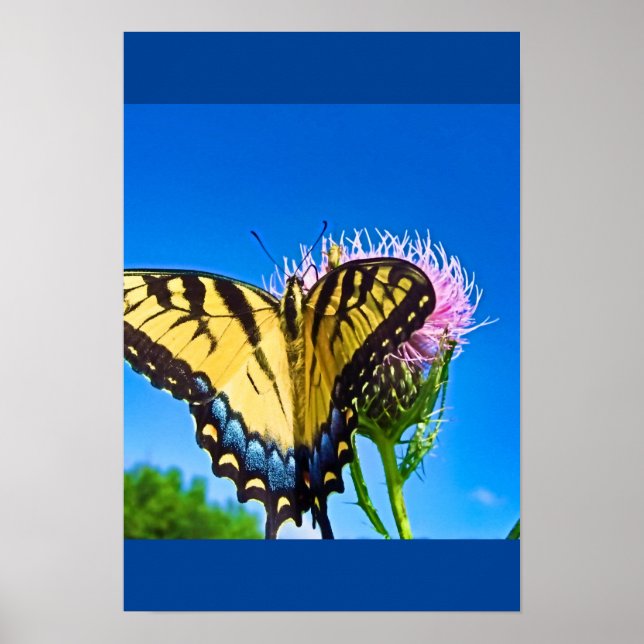 Flüge der Liebe Poster (Vorne)