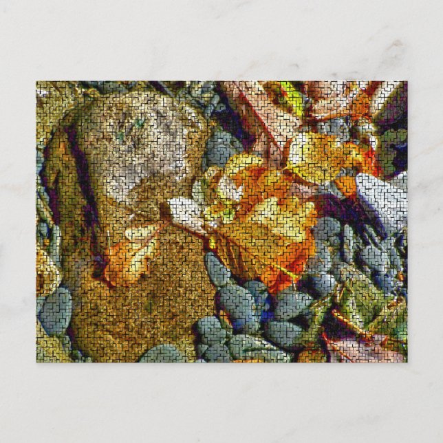 FLÜGE POSTKARTE (Vorderseite)