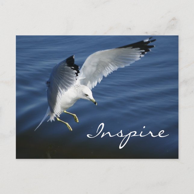 Flüge über Pennsylvania Postkarte (Vorderseite)