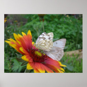 Flügel der Gnade (4) Poster