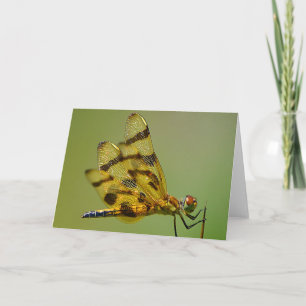 Flügel der Gold-Dragonfly-Note-Karte Karte