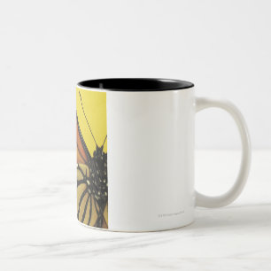 Flügel eines Schmetterlinges Zweifarbige Tasse
