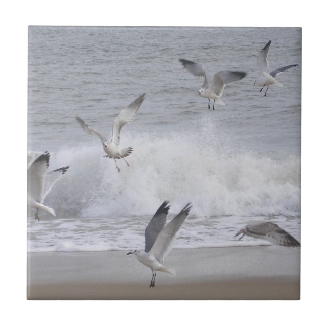 Flügel Fliese (Vorderseite)