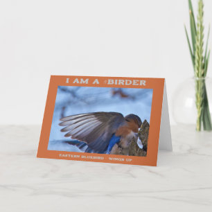 Flügel hoch Eastern Bluebird Vogelbeobachter Karte
