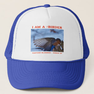 Flügel hoch Eastern Bluebird Vogelbeobachter Truckerkappe