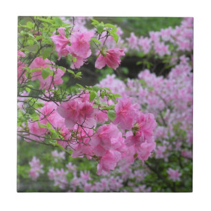 FLÜGEL KERAMIK TITEL / PINK AZALEAS FLIESE