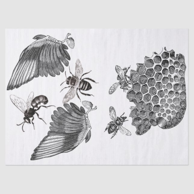 Flügel-Kram-Zeitschriften-Elemente Decoupage Blatt Seidenpapier (Vorderseite)