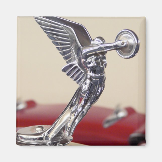 Flügel Magnet (Vorne)