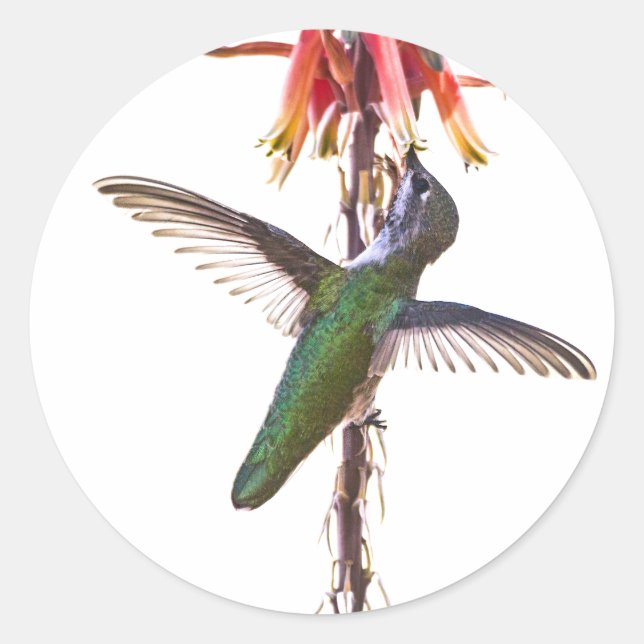 Flügel Runder Aufkleber (Vorderseite)