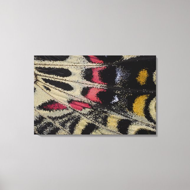 Flügel unter nahem Bhutanitis mansfieldi Leinwanddruck (Vorderseite)