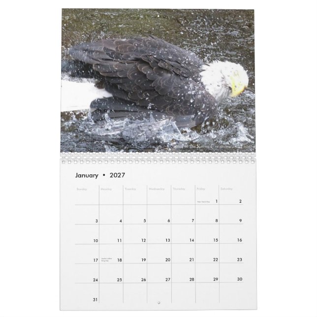 Flügelschnüre 2013 24 Monate Kalender (Jan 2027)