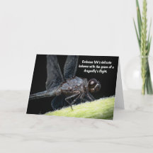 "Flügelweisheit - Die Geschichte der Libellen"