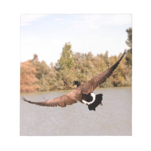 Flugente über Wasserfoto Notizblock