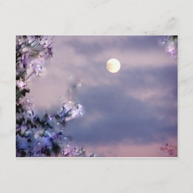 Fluggeschenk Postkarte (Vorderseite)