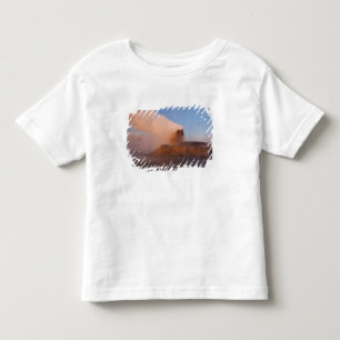 Fluggeyser mit schneebedeckter Granitpalette Kleinkind T-shirt