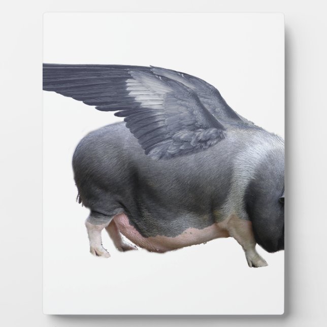 Flugschwein Fotoplatte (Vorderseite)