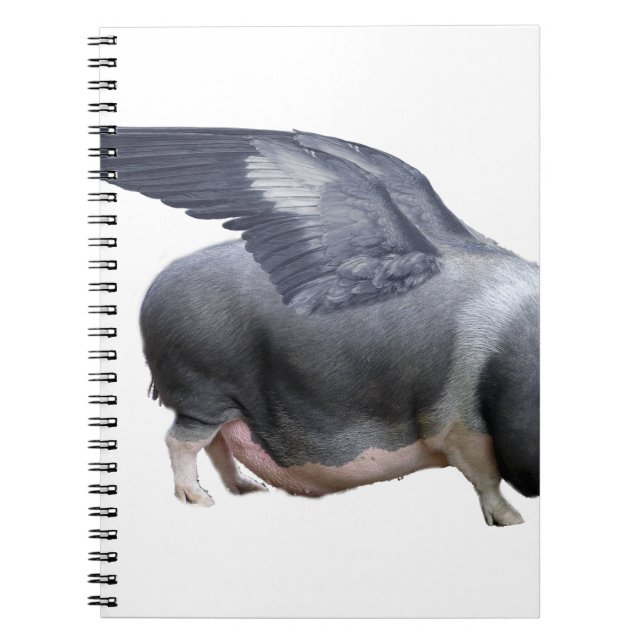 Flugschwein Notizblock (Vorderseite)