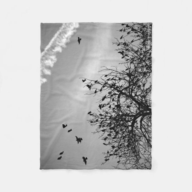 Flugweg Fleecedecke (Vorderseite)