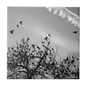 Flugweg Fliese