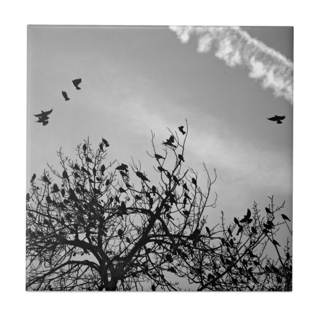 Flugweg Fliese (Vorderseite)