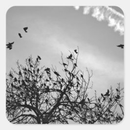 Flugweg Quadratischer Aufkleber