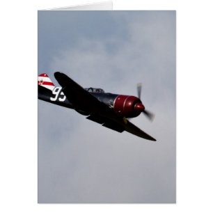 Flugzeug