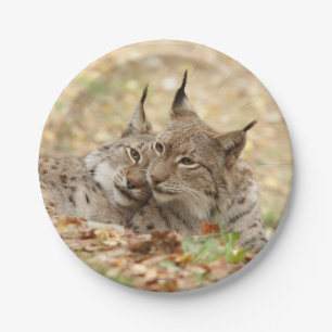Flugzeug aus Papier. Foto Lynx. Pappteller
