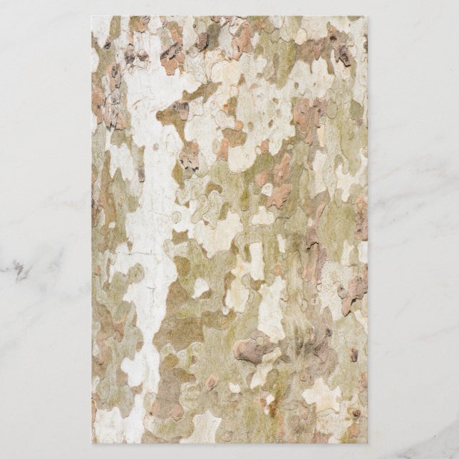 Flugzeug-Baumtarnung sieht wie Rinde-Muster aus Flyer (Vorne)