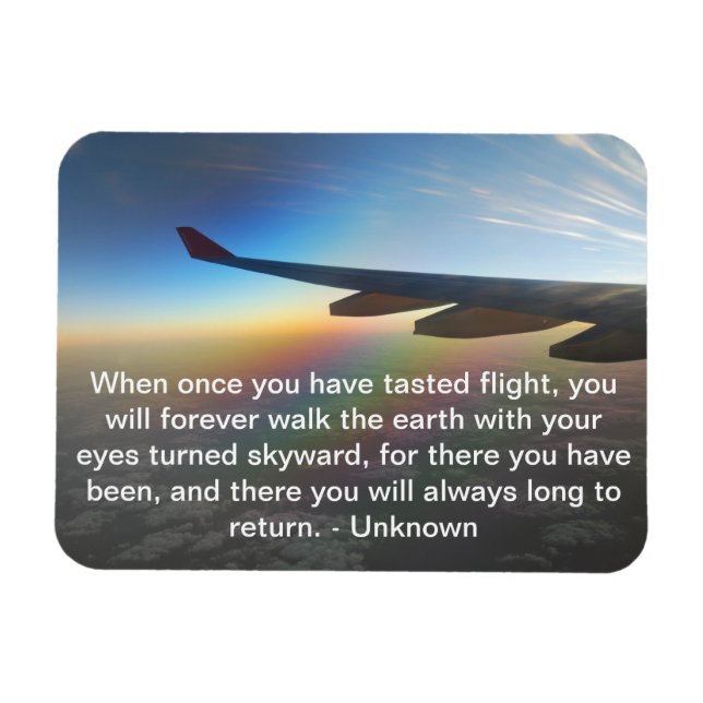 Flugzeug, das gegen die farbenfrohe Einstellung de Magnet (Horizontal)