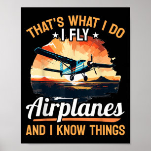 Flugzeug Flugzeuglos - Das ist was ich tue ich fli Poster
