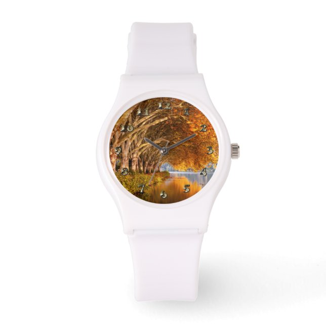 Flugzeug im Herbst über einem See Armbanduhr (Vorderseite)