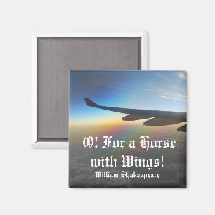 Flugzeug im Himmel gegen farbenfrohe Sonnenuntergä Magnet