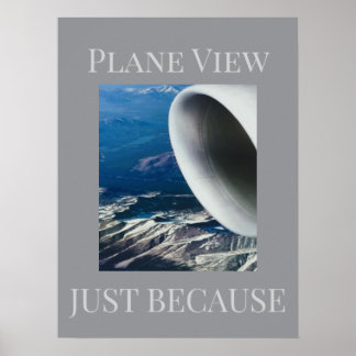 Flugzeugansicht Poster