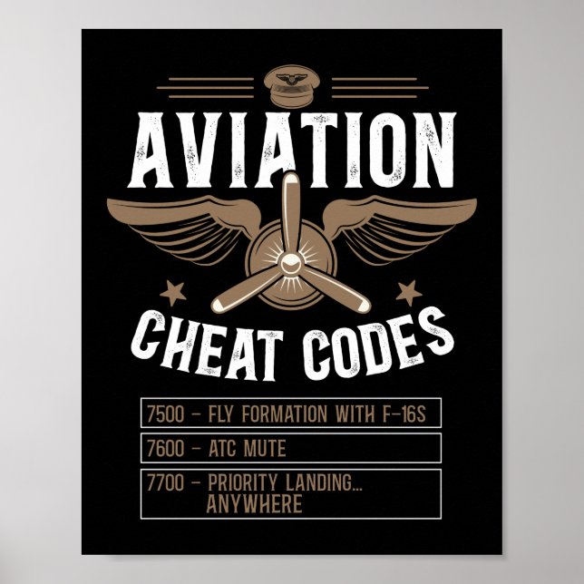 Flugzeugpilot Luftfahrzeug Luftfahrt Cheatcoden 75 Poster (Vorne)