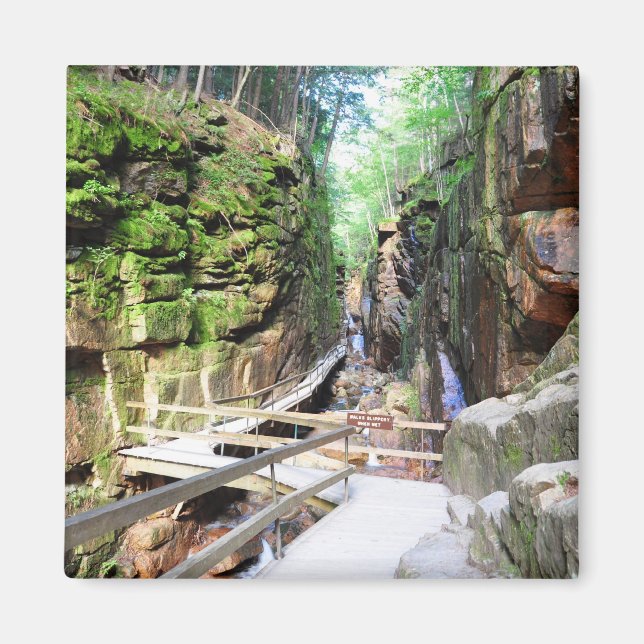 Flume Gorge New Hampshire Magnet (Vorne)