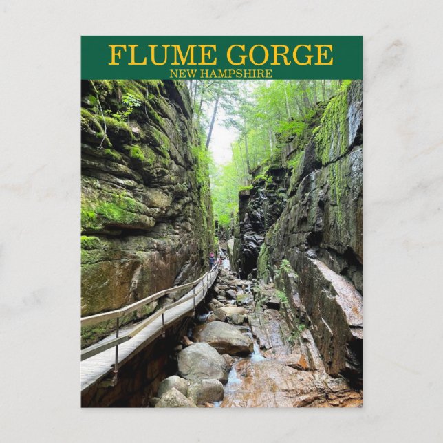 Flume Gorge NH Postcard Postkarte (Vorderseite)