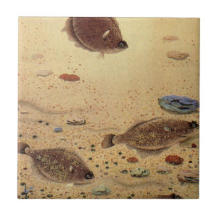 Flundern oder Plattfische, Vintage Meeresleben Oze Fliese