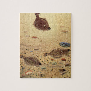 Flundern oder Plattfische, Vintage Meeresleben Oze Puzzle