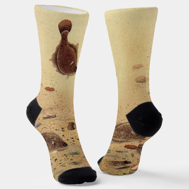 Flundern oder Plattfische, Vintage Meeresleben  Socken (Gewinkelt)
