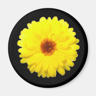 Fluorescent Marigold Magnet