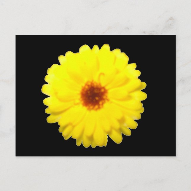 Fluorescent Marigold Postcard Postkarte (Vorderseite)