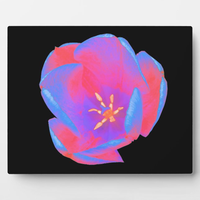 Fluorescent Tulip Plaque Fotoplatte (Vorderseite)