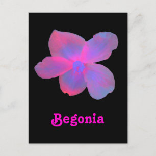 Fluoreszenz Begonia individuell anpassbare Postkar Postkarte
