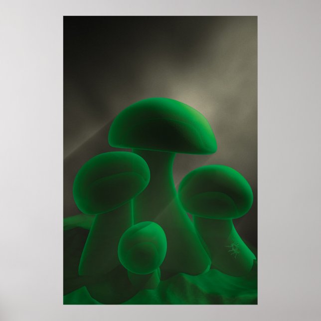Fluoreszenz-Pilze Poster (Vorne)