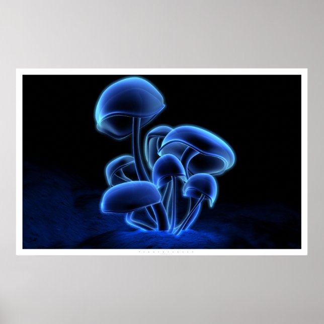 Fluoreszenz Poster (Vorne)