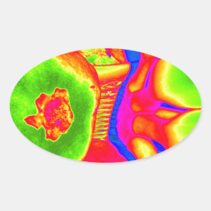 fluoreszierende Frucht Ovaler Aufkleber