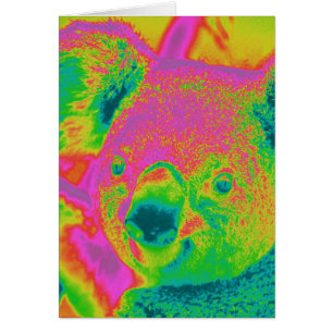 fluoreszierende Koala-Bären