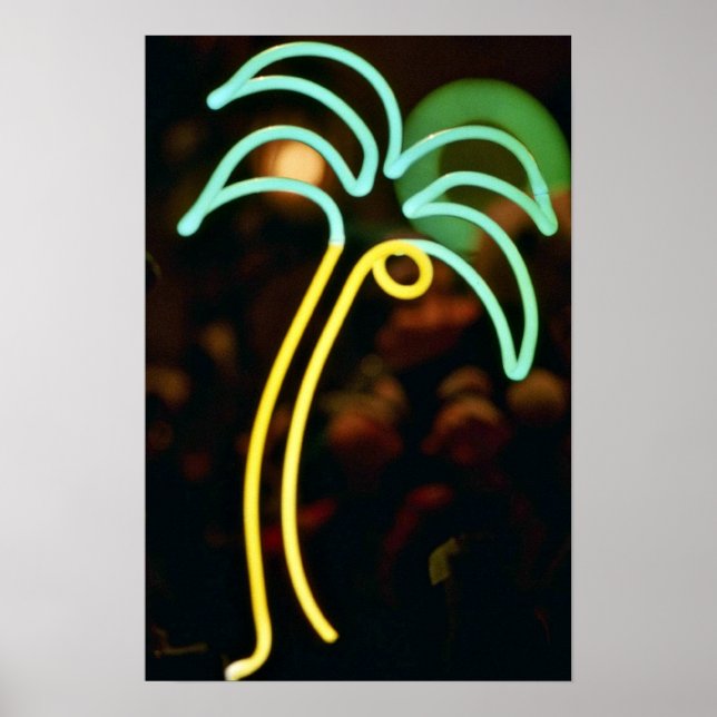 Fluoreszierende Palme in Seafair, Dania, Florida, Poster (Vorne)