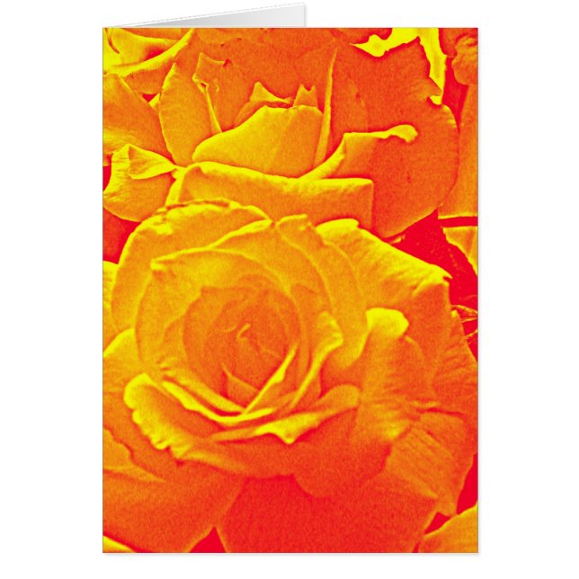 fluoreszierende Rose orange (Vorne)