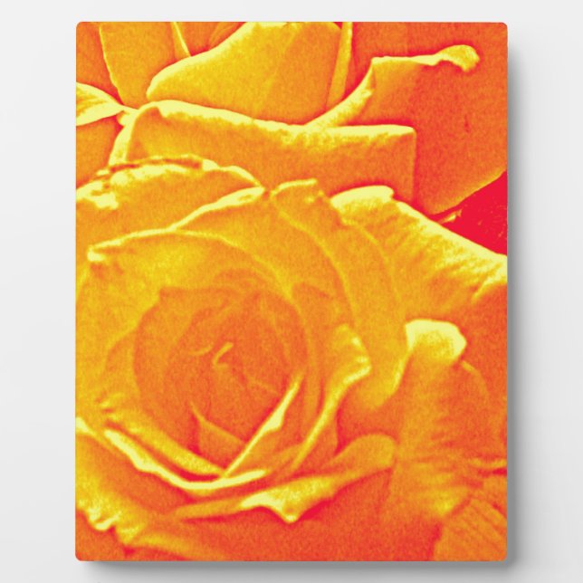 fluoreszierende Rose orange Fotoplatte (Vorderseite)